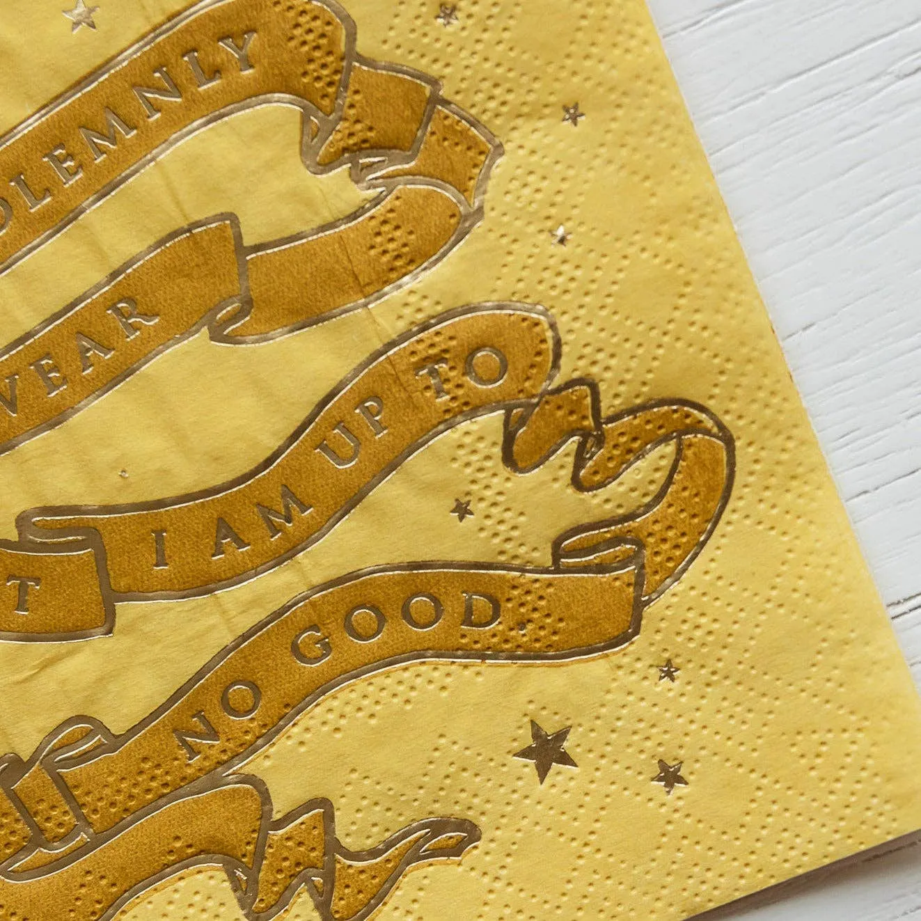 Bonjour Fête - HARRY POTTER X BONJOUR FÊTE HOUSE PRIDE SMALL PARTY NAPKINS